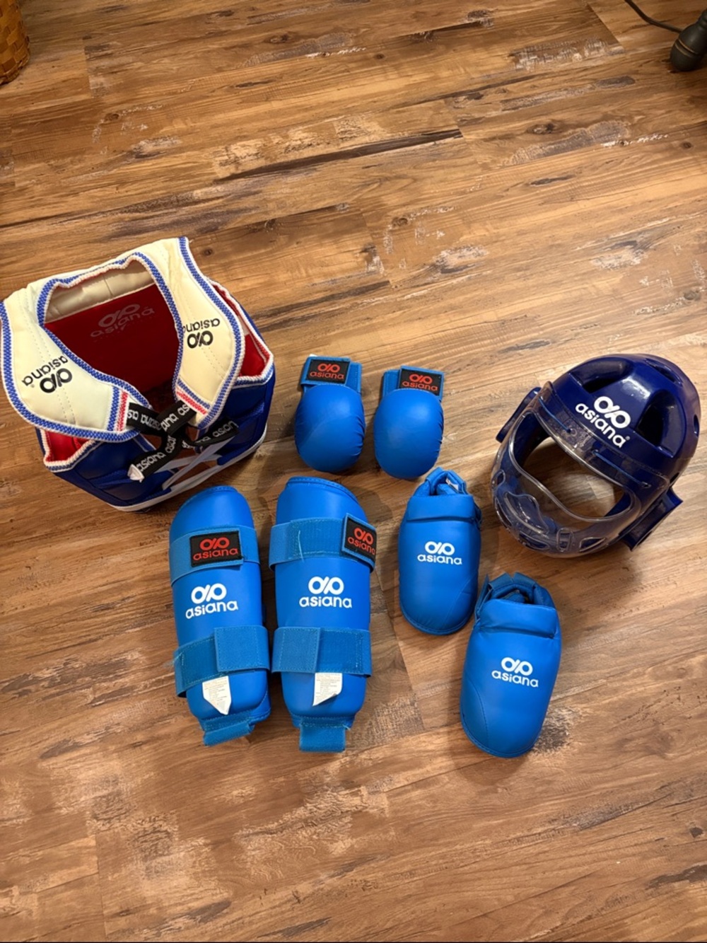 Asiana Blue Kids Martial Arts Sparring Gear Set. XS & S gear.